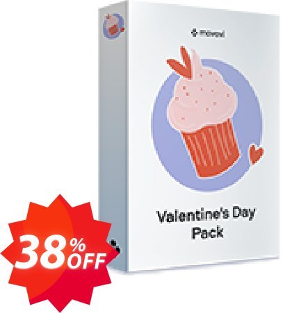 Movavi effect: Valentine's Day Pack Coupon code 38% discount 