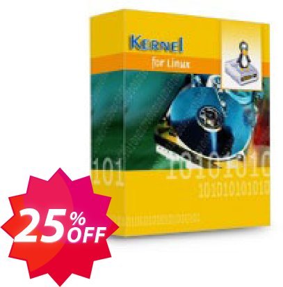 Kernel Recovery for ReiserFS - Technician Plan Coupon code 25% discount 