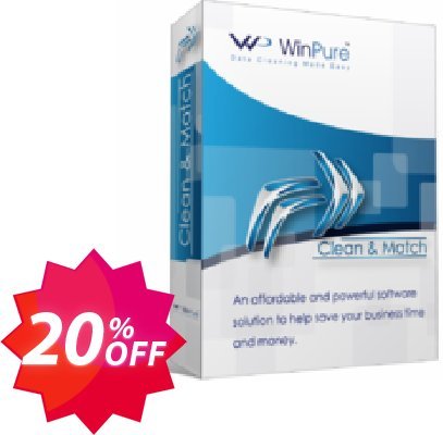 WinPure Clean & Match - Small Business Edition Coupon code 20% discount 