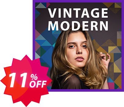 Vintage Modern Frame Pack Coupon code 11% discount 