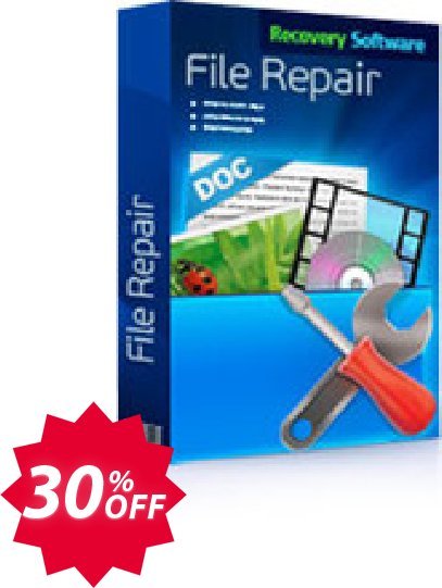 RS File Repair 1.1 Coupon code 30% discount 