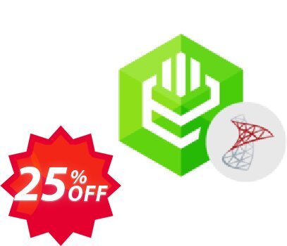 ODBC Driver for SQL Server Coupon code 25% discount 