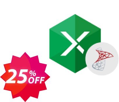 Excel Add-in for SQL Server Coupon code 25% discount 