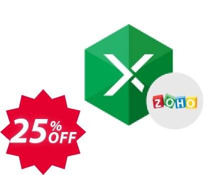 Excel Add-in for Zoho CRM Coupon code 25% discount 