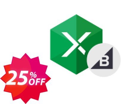 Excel Add-in for BigCommerce Coupon code 25% discount 