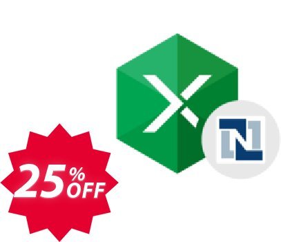 Excel Add-in for NetSuite Coupon code 25% discount 