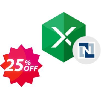 Excel Add-in for NetSuite Coupon code 25% discount 