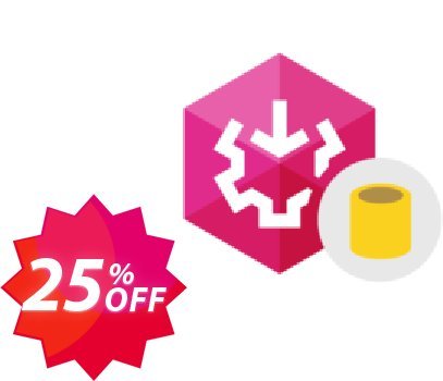 SSIS Integration Database Bundle Coupon code 25% discount 