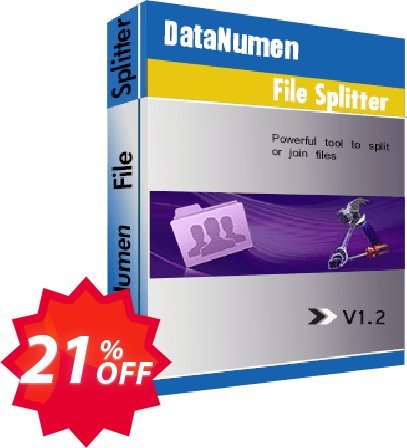 DataNumen File Splitter Coupon code 21% discount 