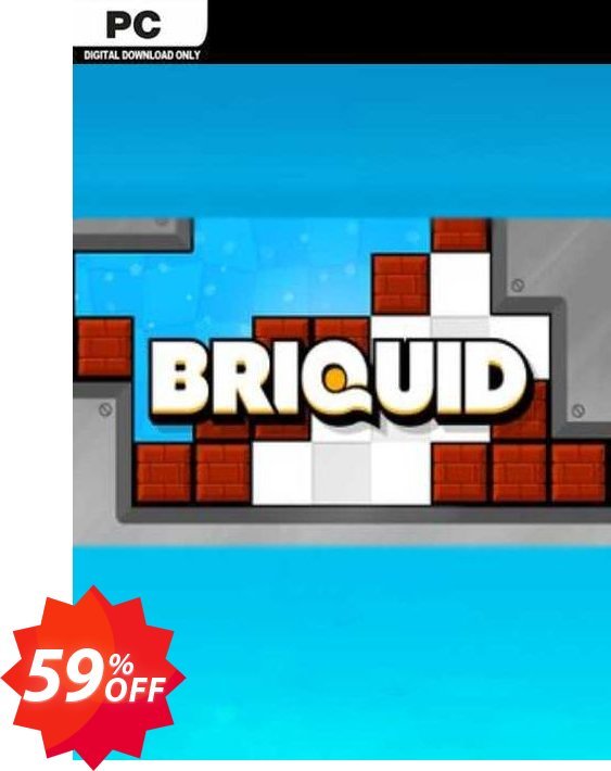Briquid PC Coupon code 59% discount 