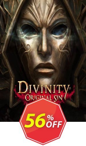 Divinity: Original Sin - The Source Saga PC Coupon code 56% discount 