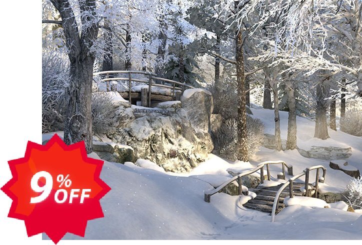 3PlaneSoft Winter Walk 3D Screensaver Coupon code 9% discount 