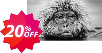 Yeti Forex Robot UNLIMITED Plan Coupon code 20% discount 