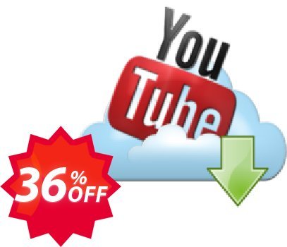 imElfin Youtube Downloader Coupon code 36% discount 