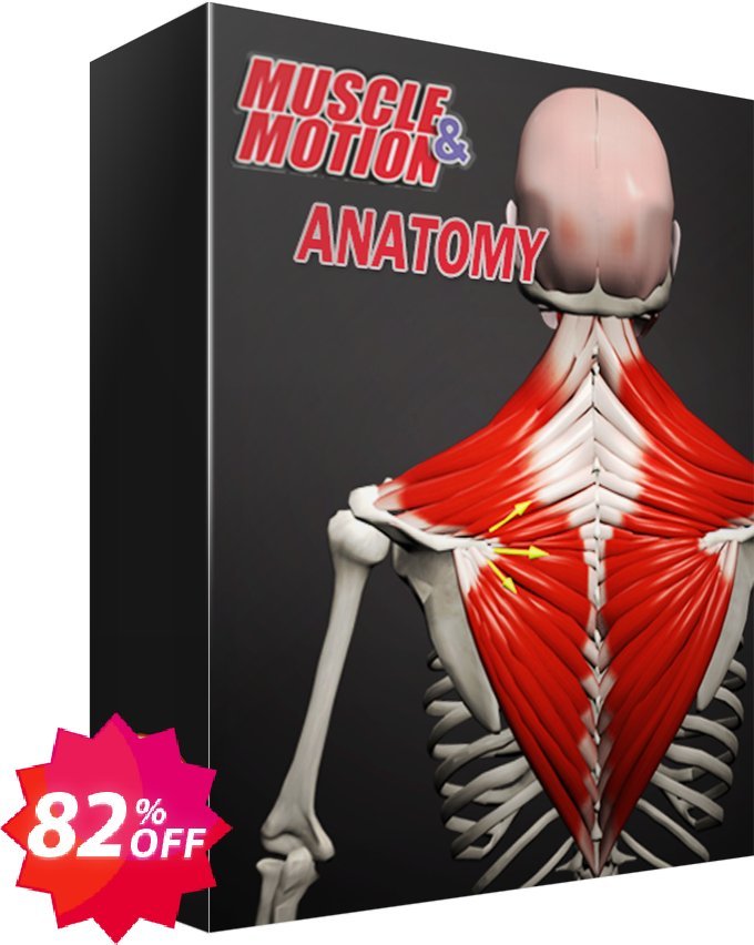 Muscle & Motion Anatomy 3 years Coupon code 82% discount 