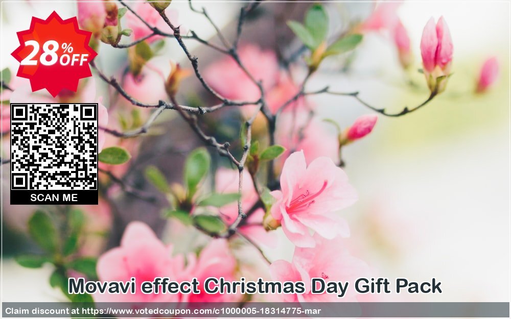 Movavi effect Christmas Day Gift Pack