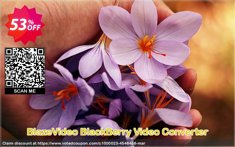 BlazeVideo BlackBerry Video Converter Coupon Code May 2024, 53% OFF - VotedCoupon