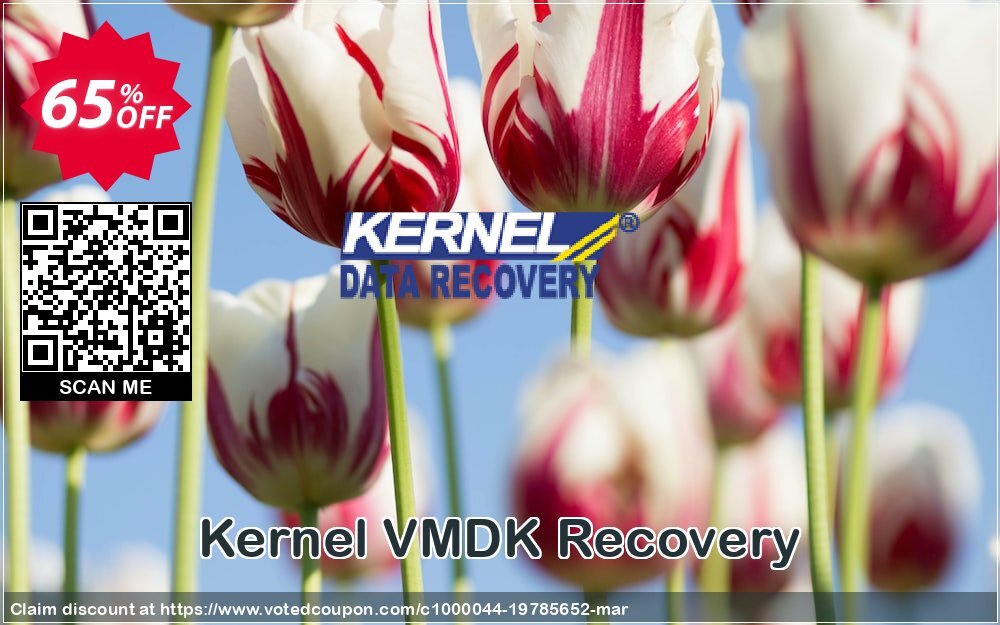 Kernel VMDK Recovery Coupon Code May 2024, 65% OFF - VotedCoupon