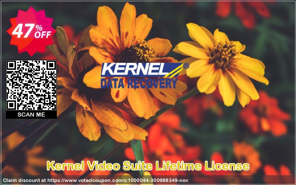 Get 47% OFF Kernel Video Suite Lifetime License Coupon