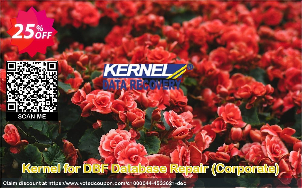 Kernel for DBF Database Repair, Corporate  Coupon, discount Kernel Recovery for DBF - Corporate License stunning discount code 2024. Promotion: stunning discount code of Kernel Recovery for DBF - Corporate License 2024