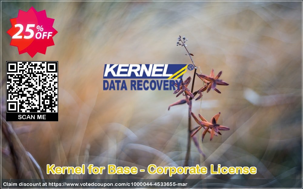 Kernel for Base - Corporate Plan Coupon Code Apr 2024, 25% OFF - VotedCoupon