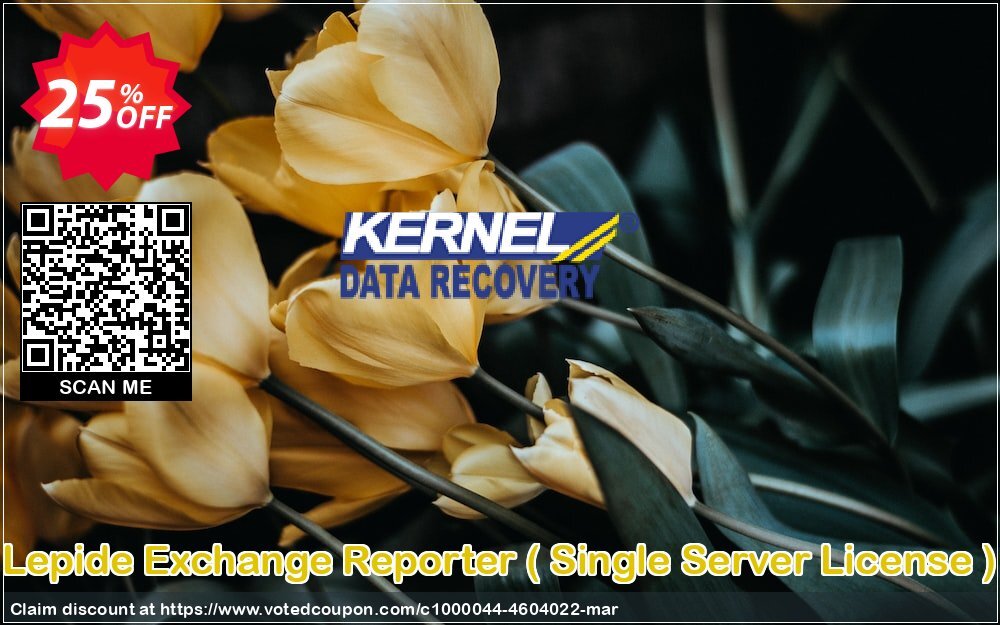 Lepide Exchange Reporter,  Single Server Plan   Coupon Code Jun 2024, 25% OFF - VotedCoupon