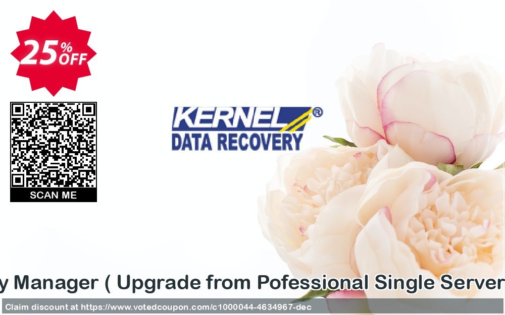 Lepide Exchange Recovery Manager,  Upgrade from Pofessional Single Server to Professional Absolute   Coupon Code Apr 2024, 25% OFF - VotedCoupon