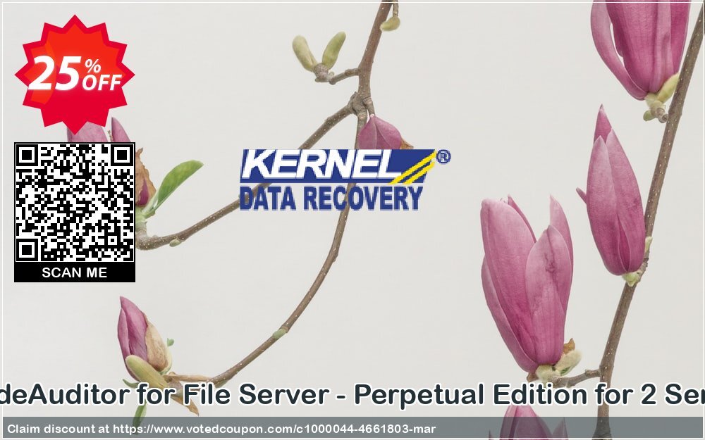 LepideAuditor for File Server - Perpetual Edition for 2 Servers Coupon Code Apr 2024, 25% OFF - VotedCoupon