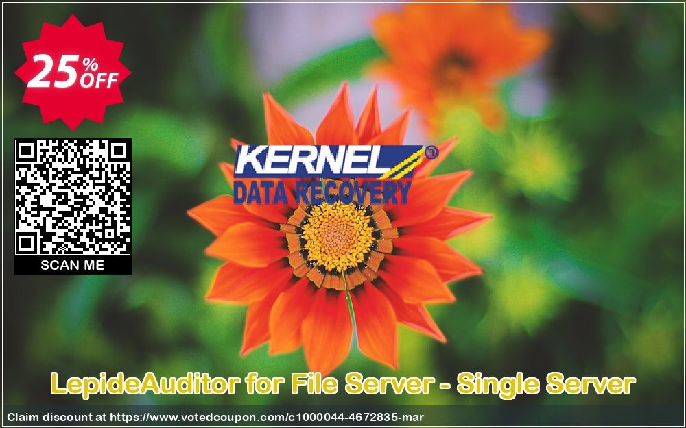 LepideAuditor for File Server - Single Server Coupon Code Apr 2024, 25% OFF - VotedCoupon