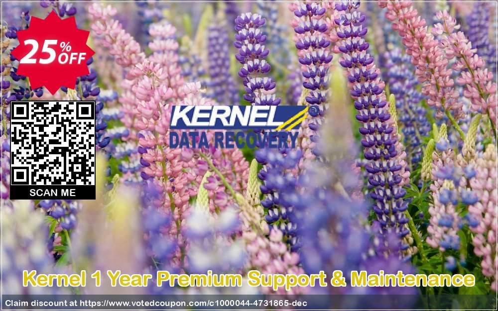 Kernel Yearly Premium Support & Maintenance Coupon Code Apr 2024, 25% OFF - VotedCoupon