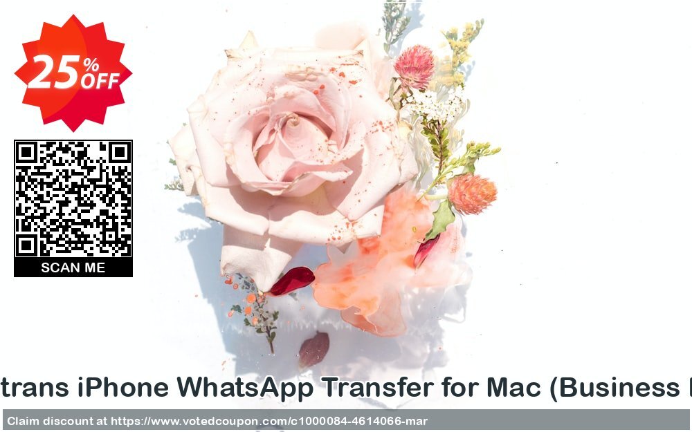 Backuptrans iPhone WhatsApp Transfer for MAC, Business Edition  Coupon Code Apr 2024, 25% OFF - VotedCoupon