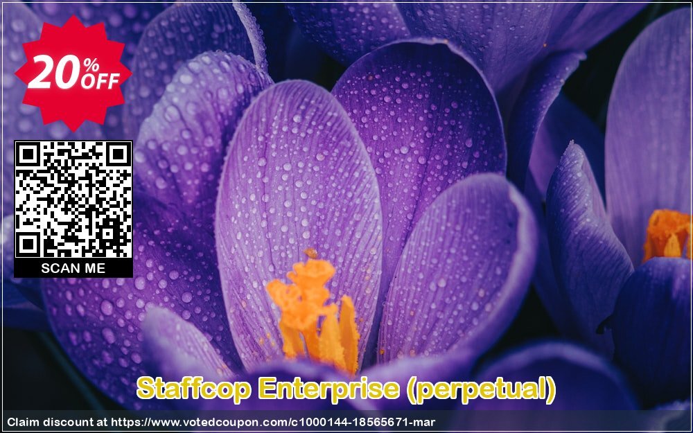 Staffcop Enterprise, perpetual  Coupon Code Apr 2024, 20% OFF - VotedCoupon