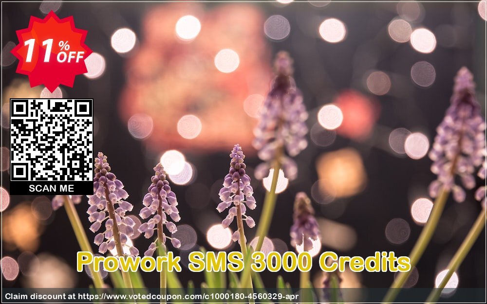 Prowork SMS 3000 Credits Coupon Code May 2024, 11% OFF - VotedCoupon