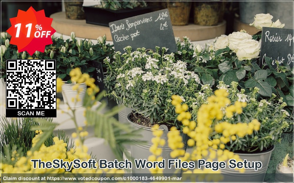 TheSkySoft Batch Word Files Page Setup Coupon Code Apr 2024, 11% OFF - VotedCoupon