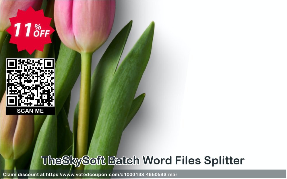 TheSkySoft Batch Word Files Splitter Coupon Code Mar 2024, 11% OFF - VotedCoupon