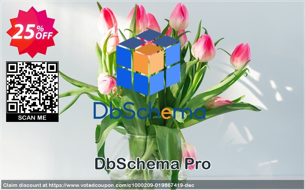 DbSchema Pro Coupon, discount 25% OFF DbSchema Pro, verified. Promotion: Formidable discounts code of DbSchema Pro, tested & approved