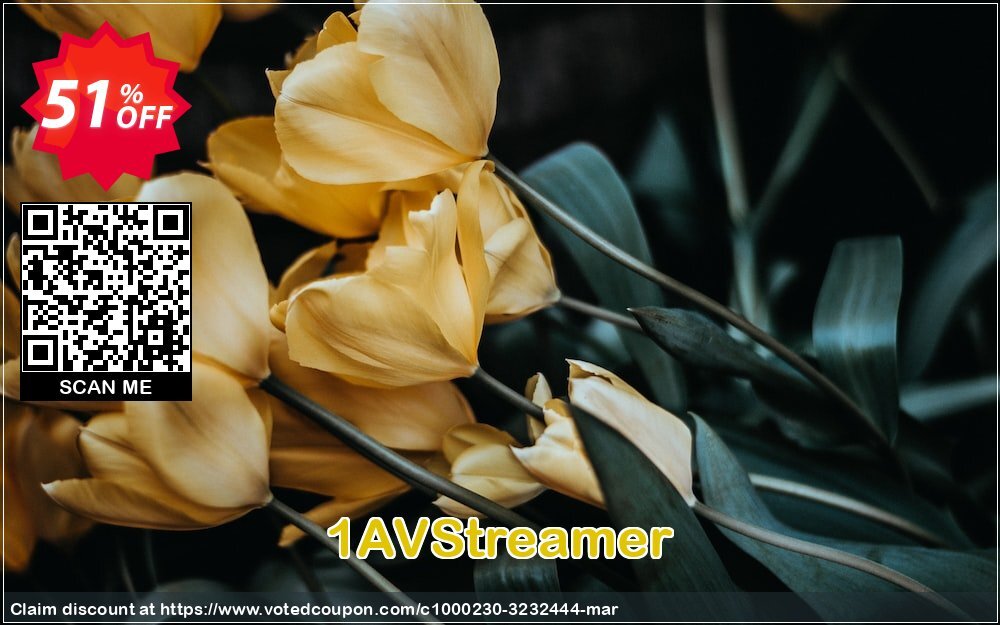 1AVStreamer Coupon Code Apr 2024, 51% OFF - VotedCoupon