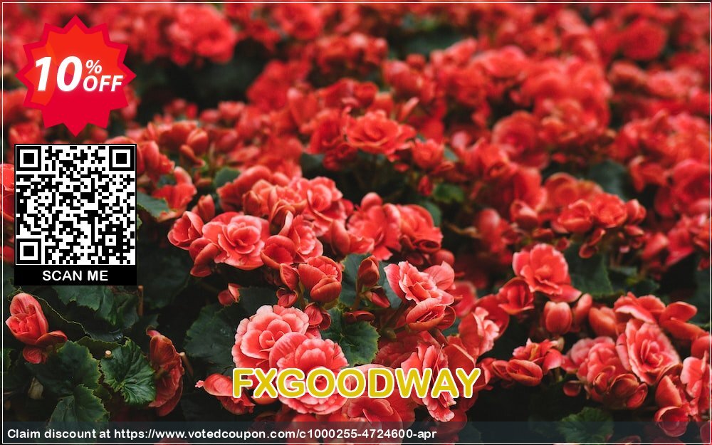 FXGOODWAY Coupon, discount FXGOODWAY awful discount code 2025. Promotion: awful discount code of FXGOODWAY 2024