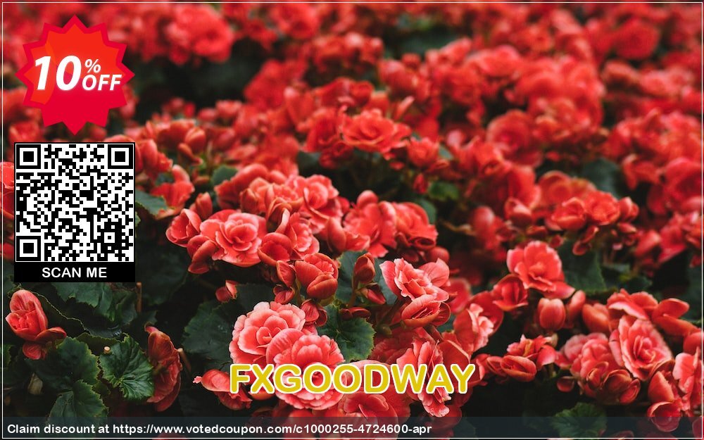 FXGOODWAY Coupon, discount FXGOODWAY awful discount code 2024. Promotion: awful discount code of FXGOODWAY 2024