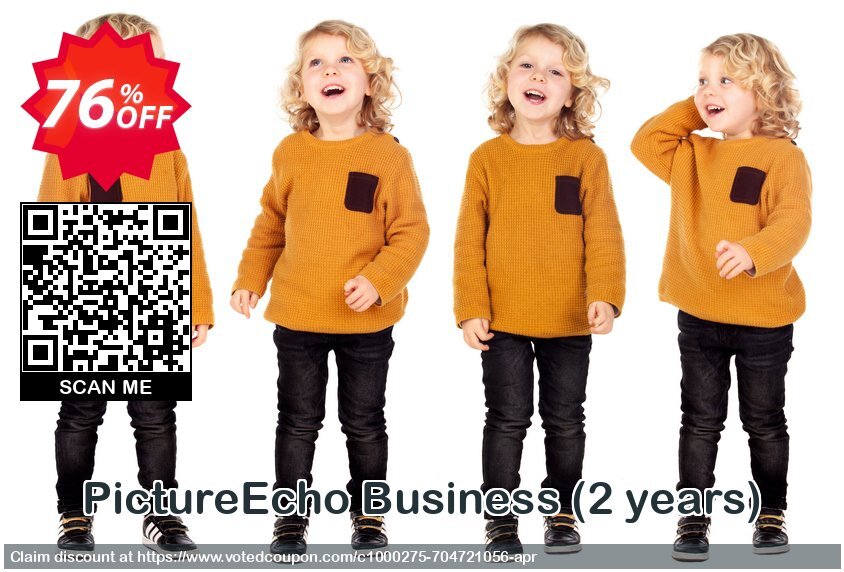 PictureEcho Business, 2 years  Coupon Code May 2024, 76% OFF - VotedCoupon