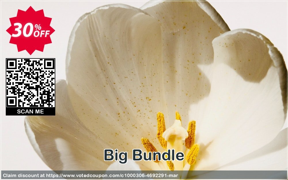 Big Bundle Coupon, discount Big Bundle special promotions code 2024. Promotion: special promotions code of Big Bundle 2024