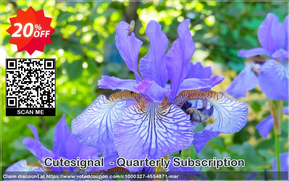 Cutesignal  - Quarterly Subscription Coupon Code May 2024, 20% OFF - VotedCoupon