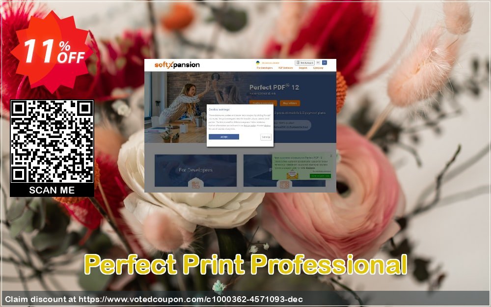 Perfect Print Professional