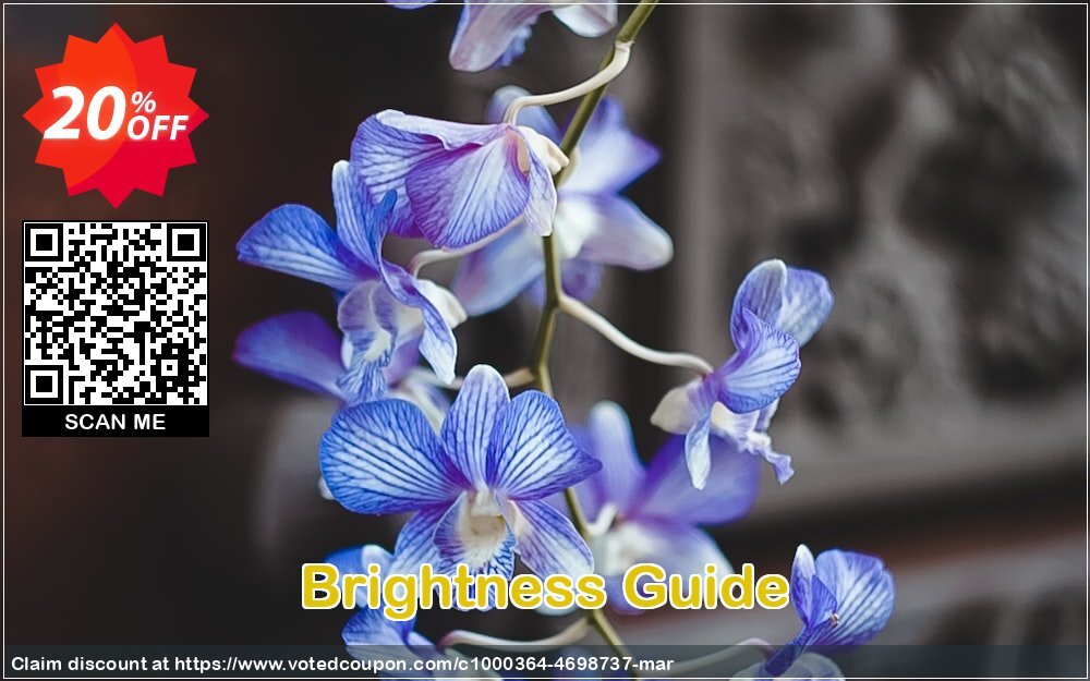 Brightness Guide Coupon Code May 2024, 20% OFF - VotedCoupon