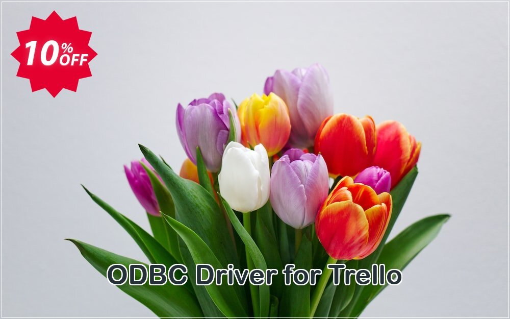 ODBC Driver for Trello Coupon Code Sep 2025, 10% OFF - VotedCoupon