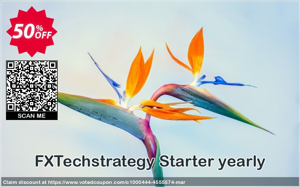 FXTechstrategy Starter yearly