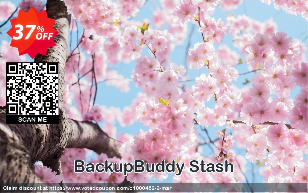 BackupBuddy Stash Coupon, discount 5% OFF BackupBuddy Stash, verified. Promotion: Imposing discounts code of BackupBuddy Stash, tested & approved