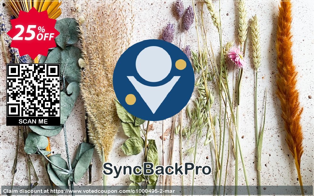 SyncBackPro Coupon, discount 25% OFF SyncBackPro, verified. Promotion: Best promo code of SyncBackPro, tested & approved