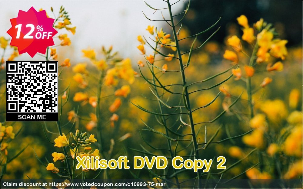 Xilisoft DVD Copy 2