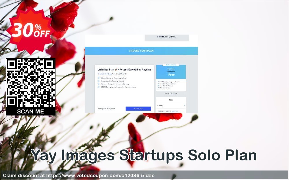 Yay Images Startups Solo Plan